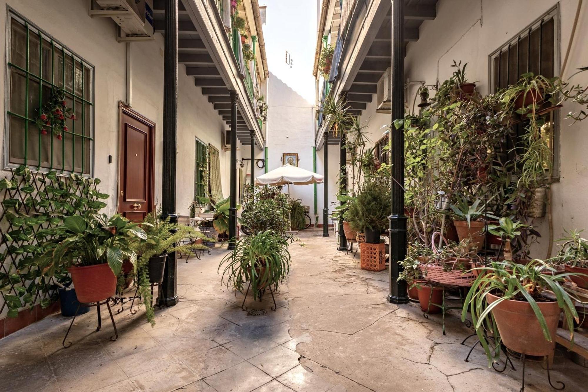 Modern Spacious Apartment Central Of Seville Exterior photo